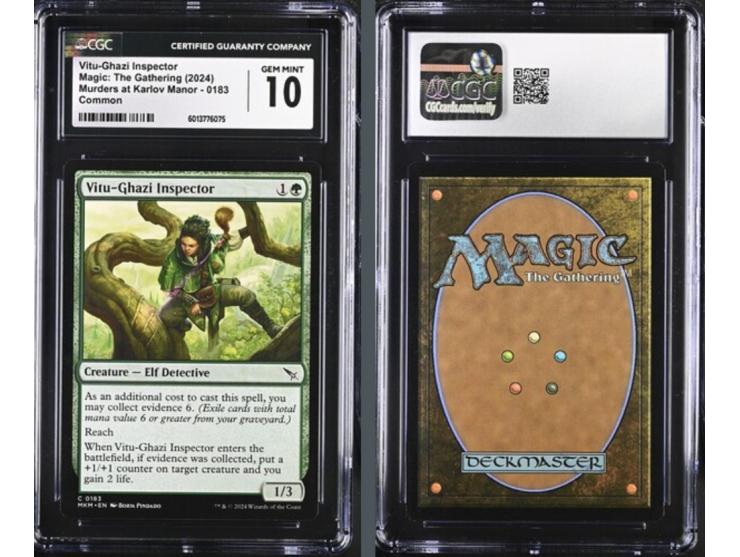 This curated set of four cards is a magnificent visual feast, celebrating the natural power and strategic depth of the 2024 s